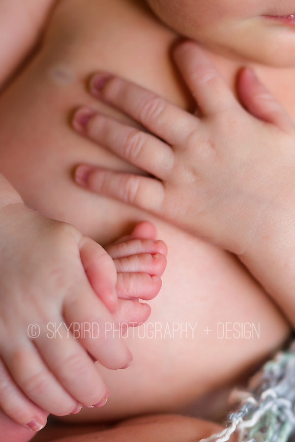 Virginia Tech Newborn