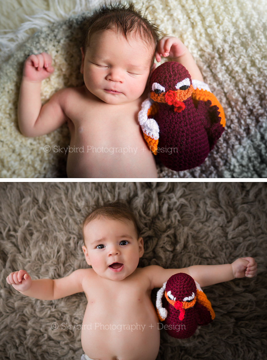 4 month baby photography