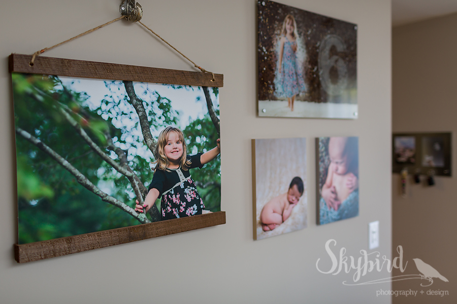 Charlottesville Photography Studio