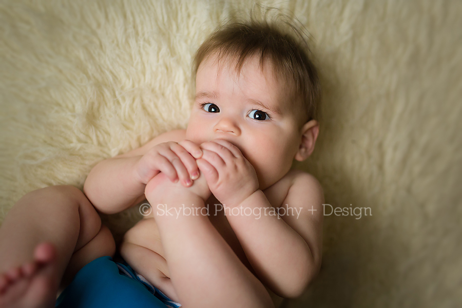 Charlottesville Baby Photography