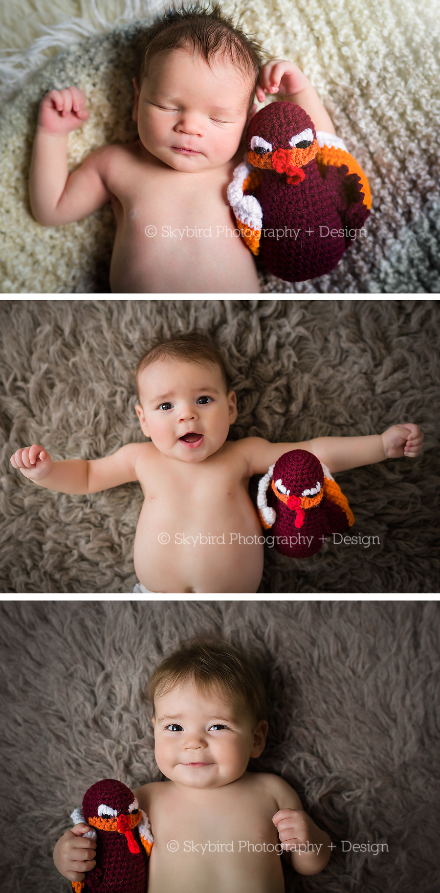 Charlottesville Baby Photography