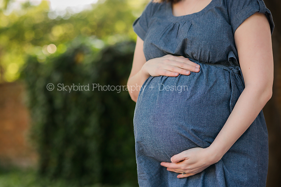 Charlottesville VA Maternity Photographer