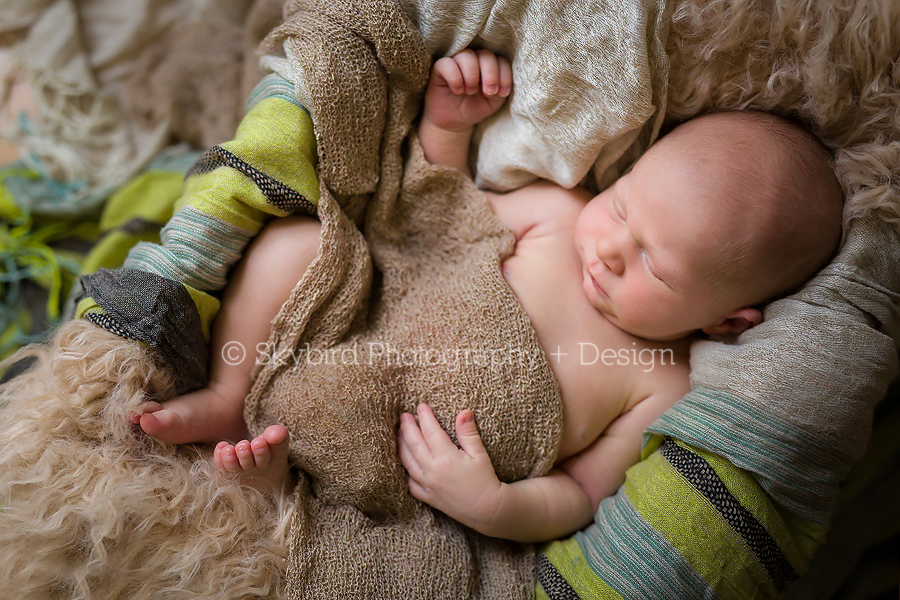 Forest Lakes Newborn Photographer