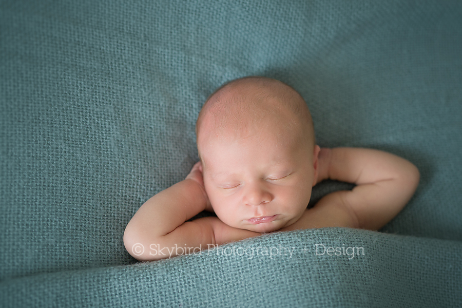 Forest Lakes Newborn Photographer