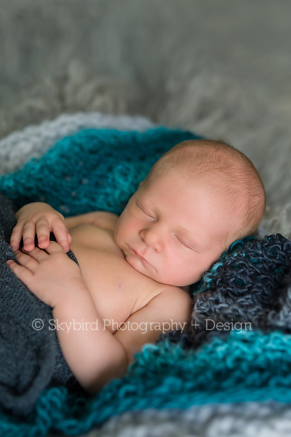 Forest Lakes Newborn Photographer