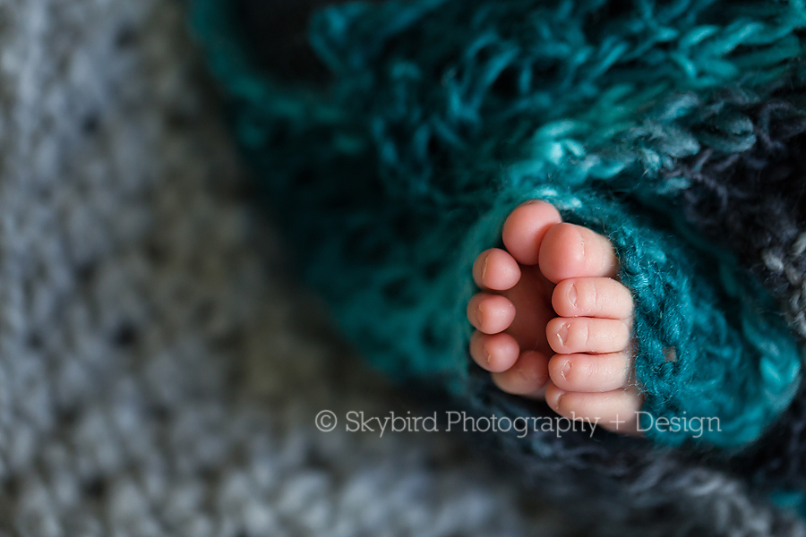 Forest Lakes Newborn Photographer