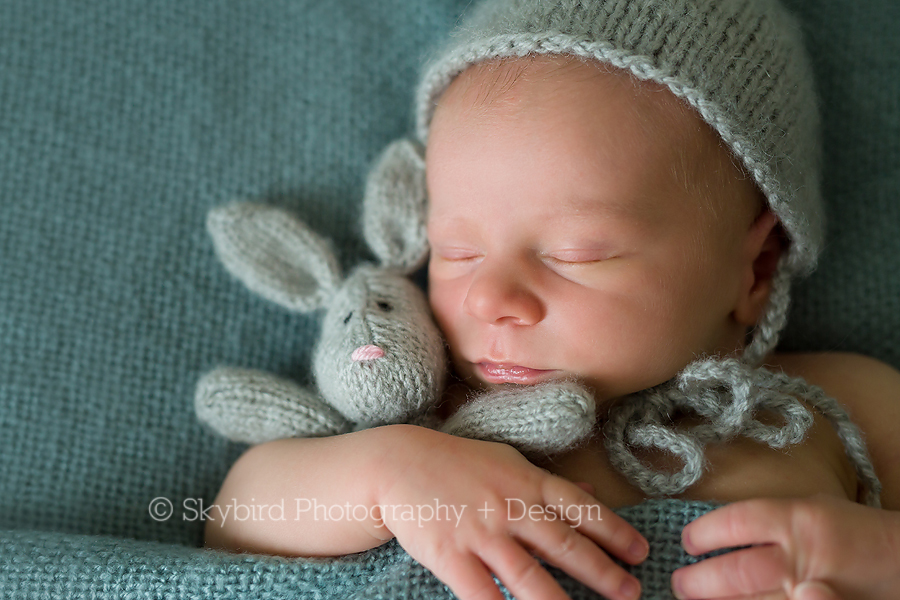 Forest Lakes Newborn Photographer