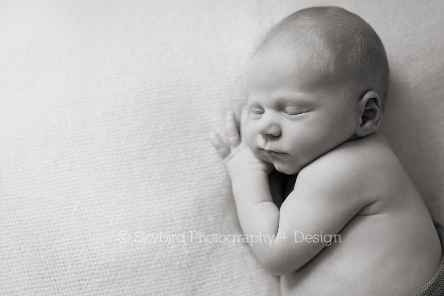 Forest Lakes Newborn Photographer