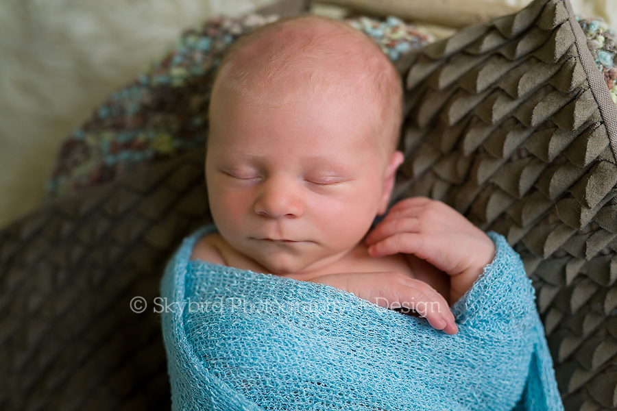 Forest Lakes Newborn Photographer