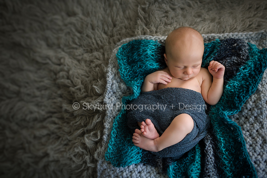 Forest Lakes Newborn Photographer