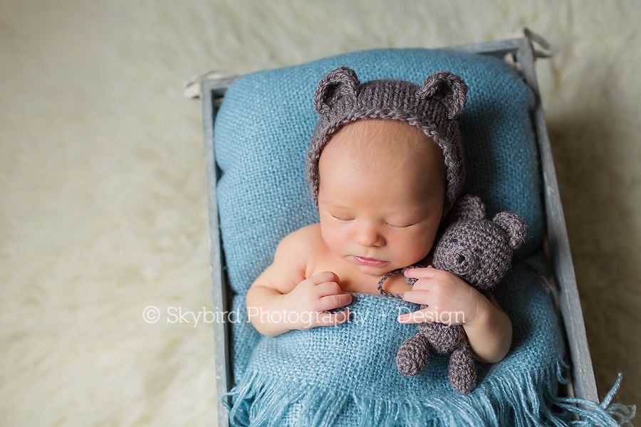 Charlottesville Newborn Studio Photographer