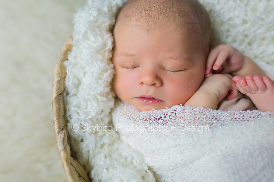 Charlottesville Newborn Studio Photographer