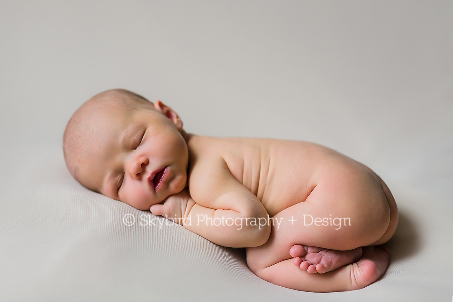 Charlottesville Newborn Studio Photographer