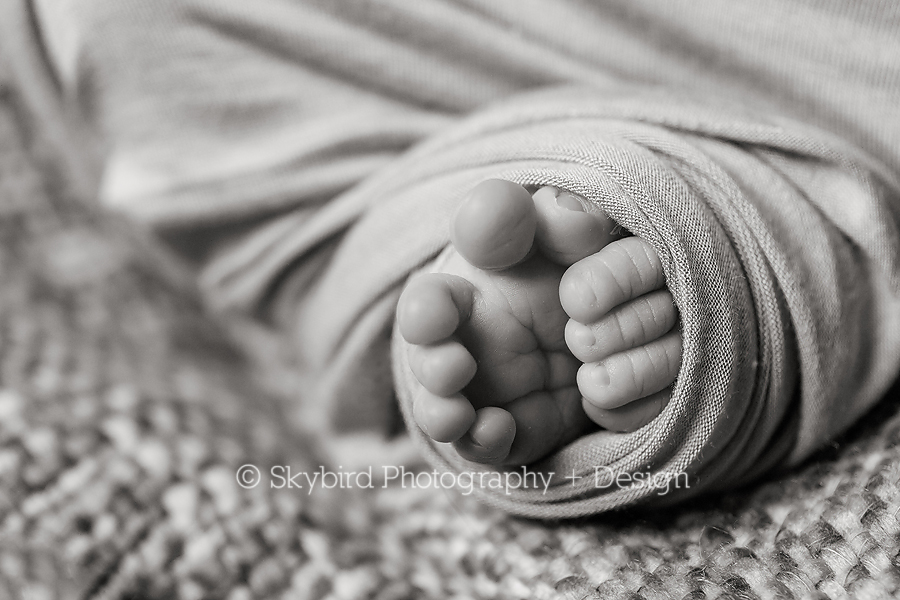 Charlottesville Newborn Studio Photographer