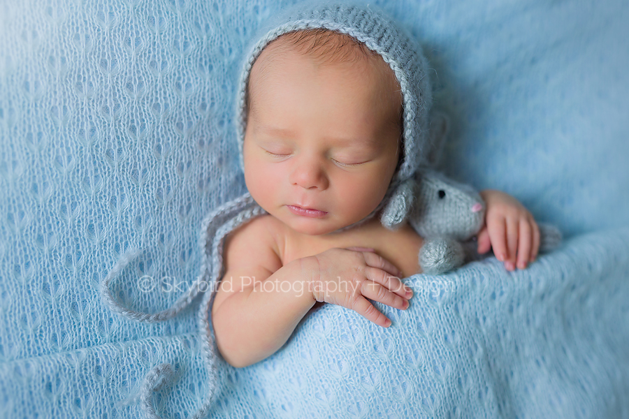 Charlottesville Virginia Newborn Photographer