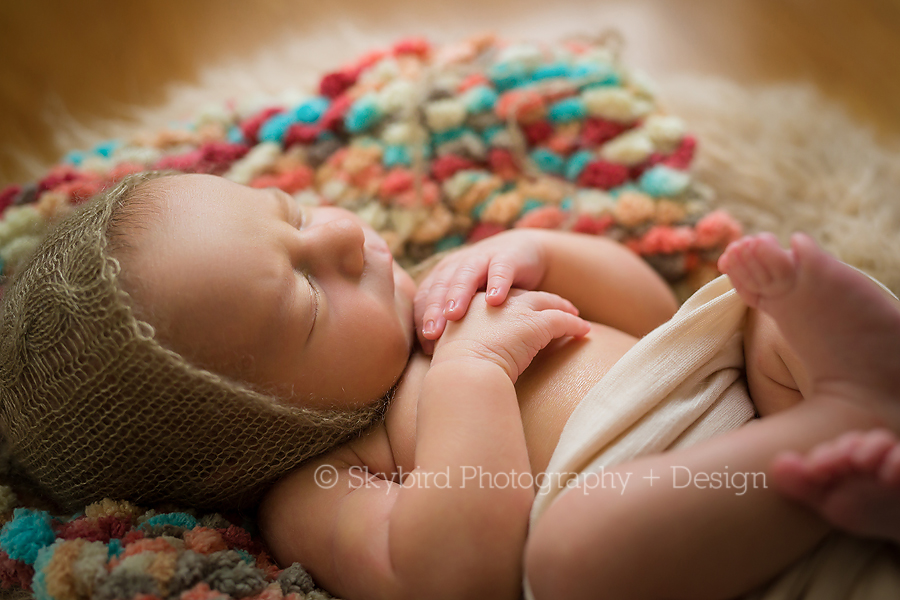 Charlottesville Virginia Newborn Photographer