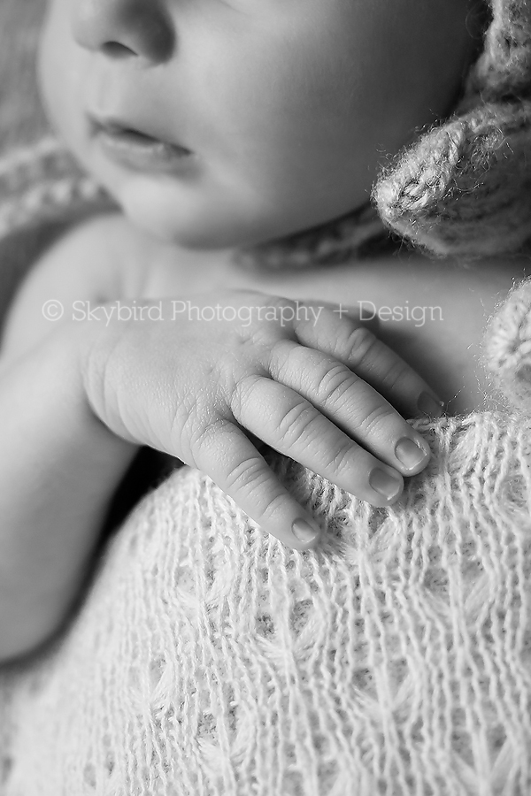 Charlottesville Virginia Newborn Photographer