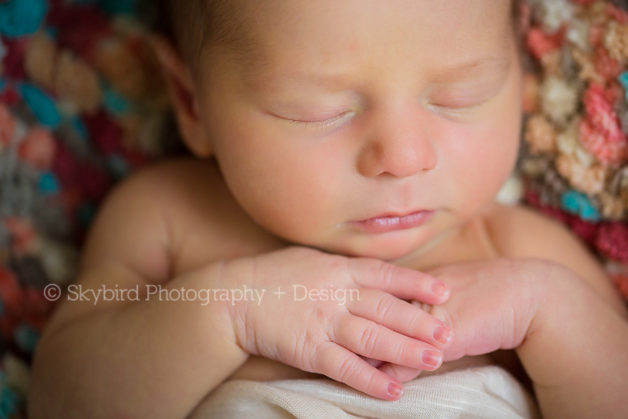 Charlottesville Virginia Newborn Photographer