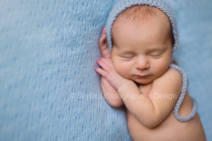 Charlottesville Virginia Newborn Photographer