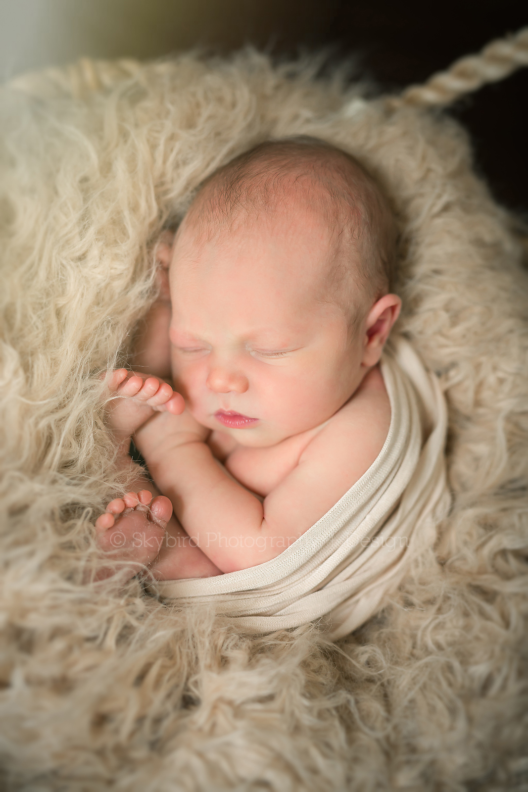 Charlottesville VA Newborn Photography