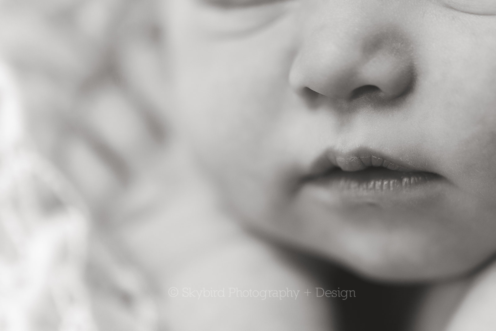 Charlottesville VA Newborn Photography