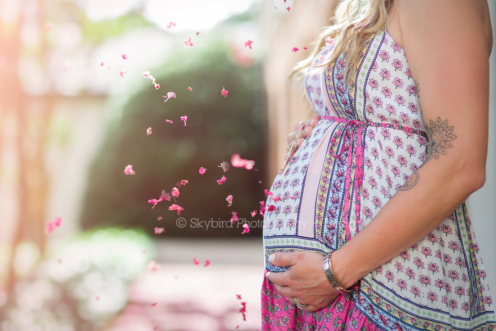 Charlottesville Maternity Photographer