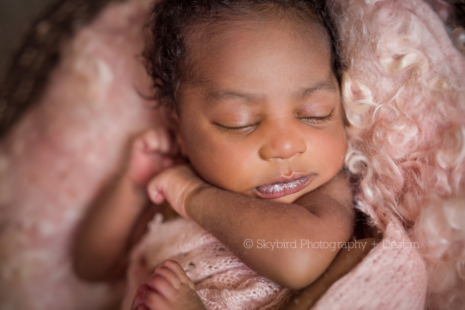 Newborn Photography Charlottesville