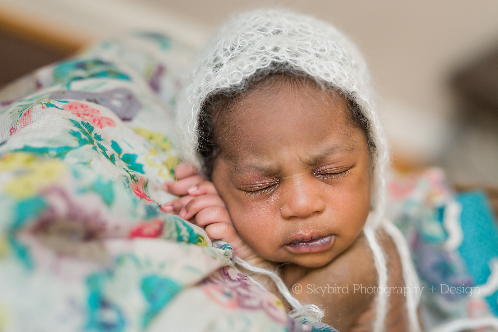 Newborn Photography Charlottesville