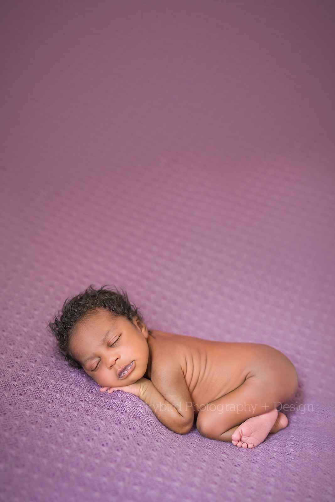 Newborn Photography Charlottesville