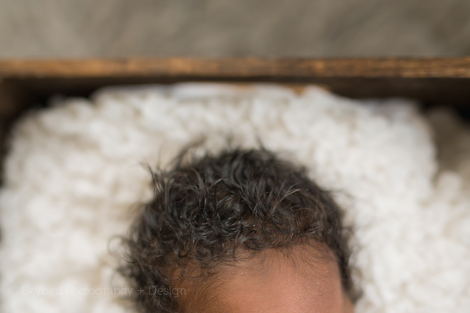 Newborn Photography Charlottesville