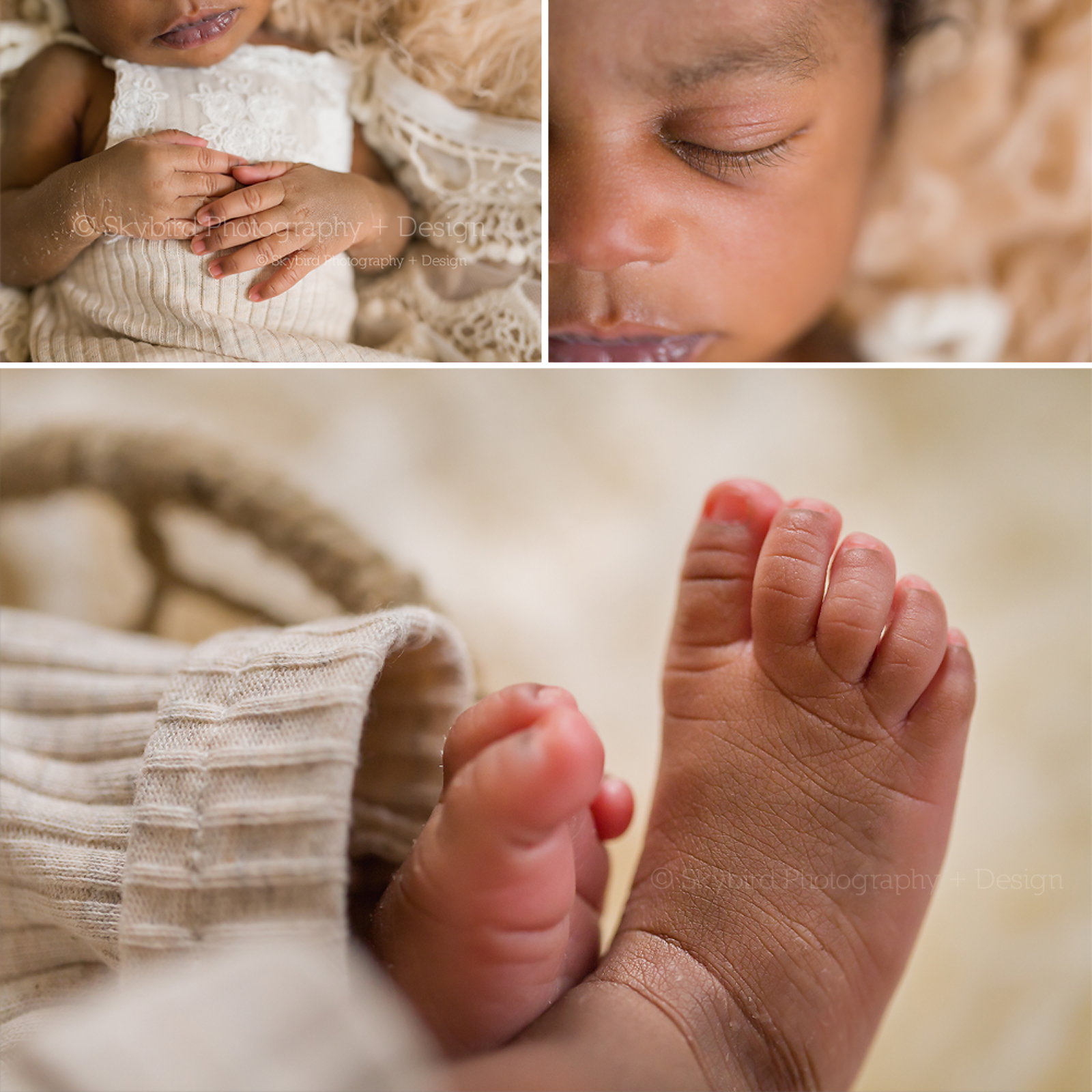 Newborn Photography Charlottesville