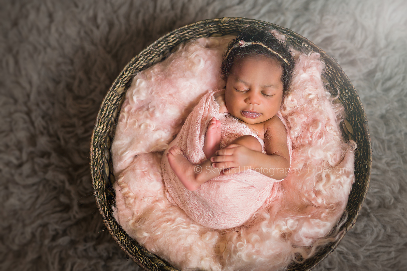 Newborn Photography Charlottesville