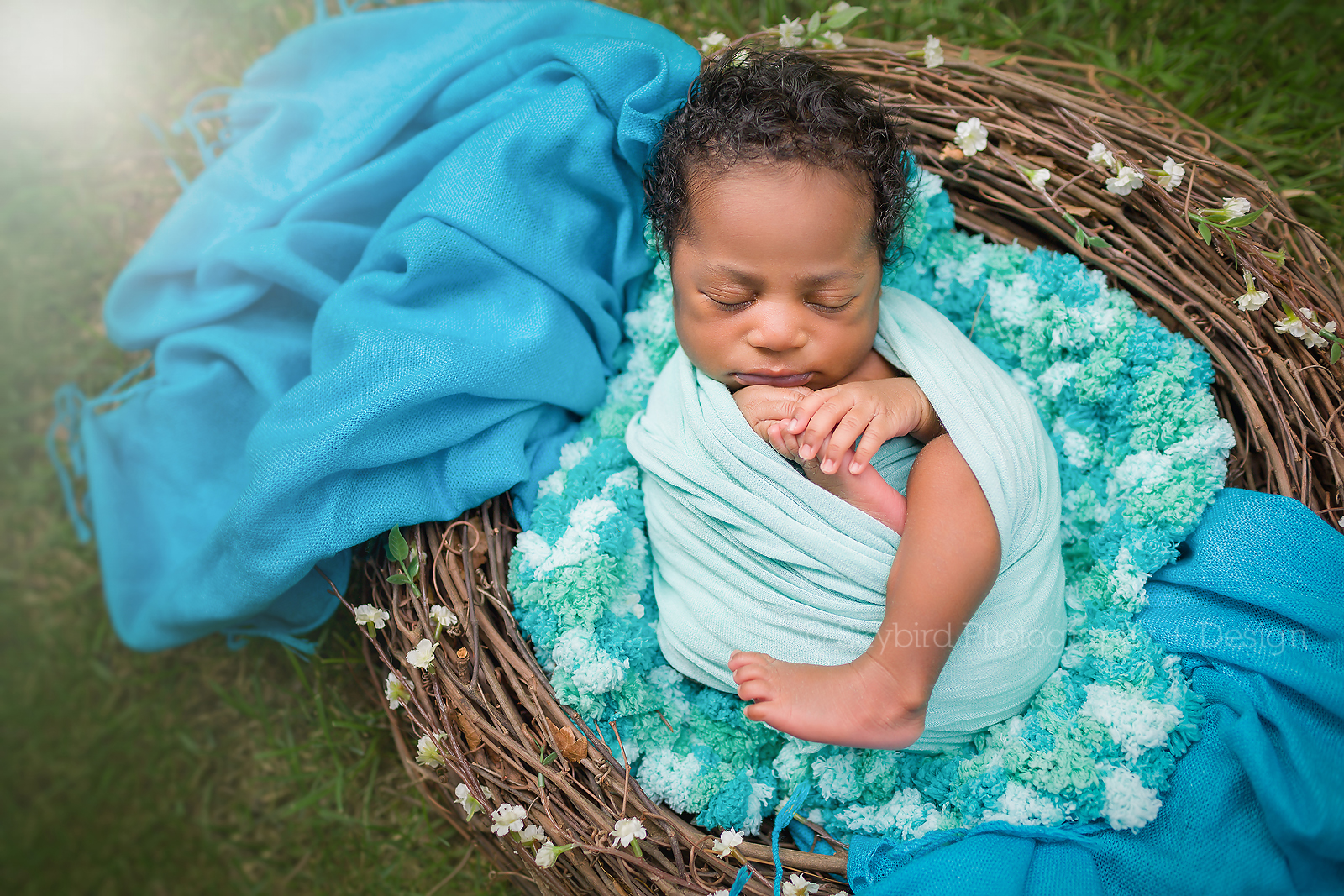 Newborn Photography Charlottesville