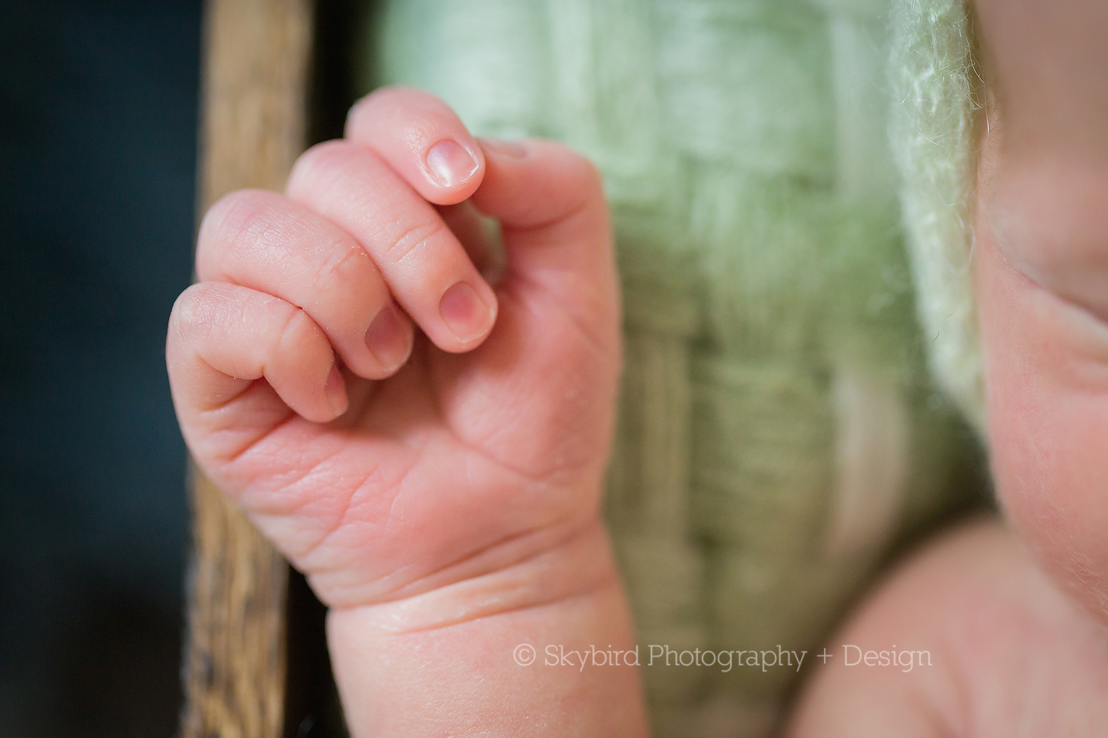 Charlottesville VA Photography Studio