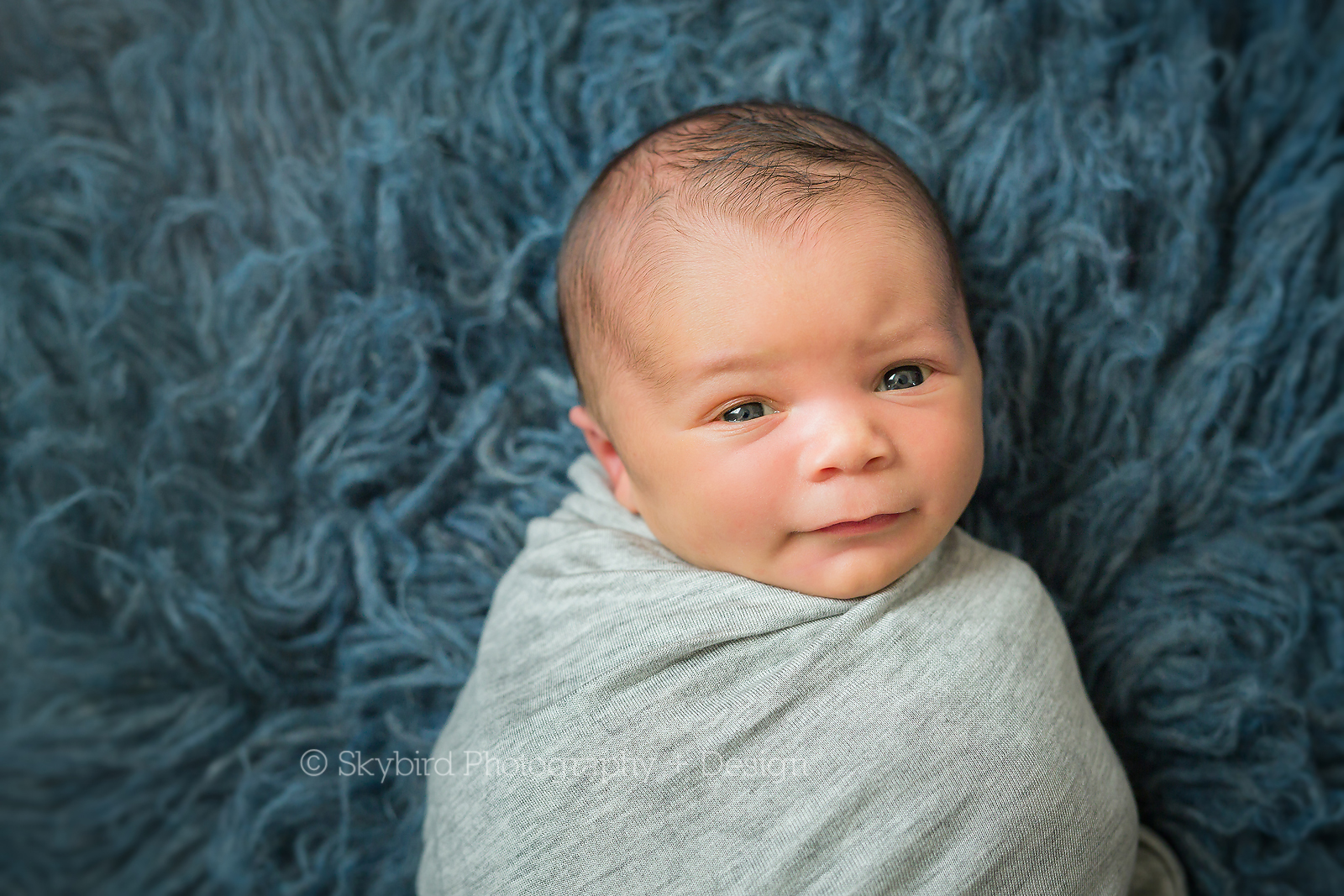 Charlottesville Studio Newborn Photography