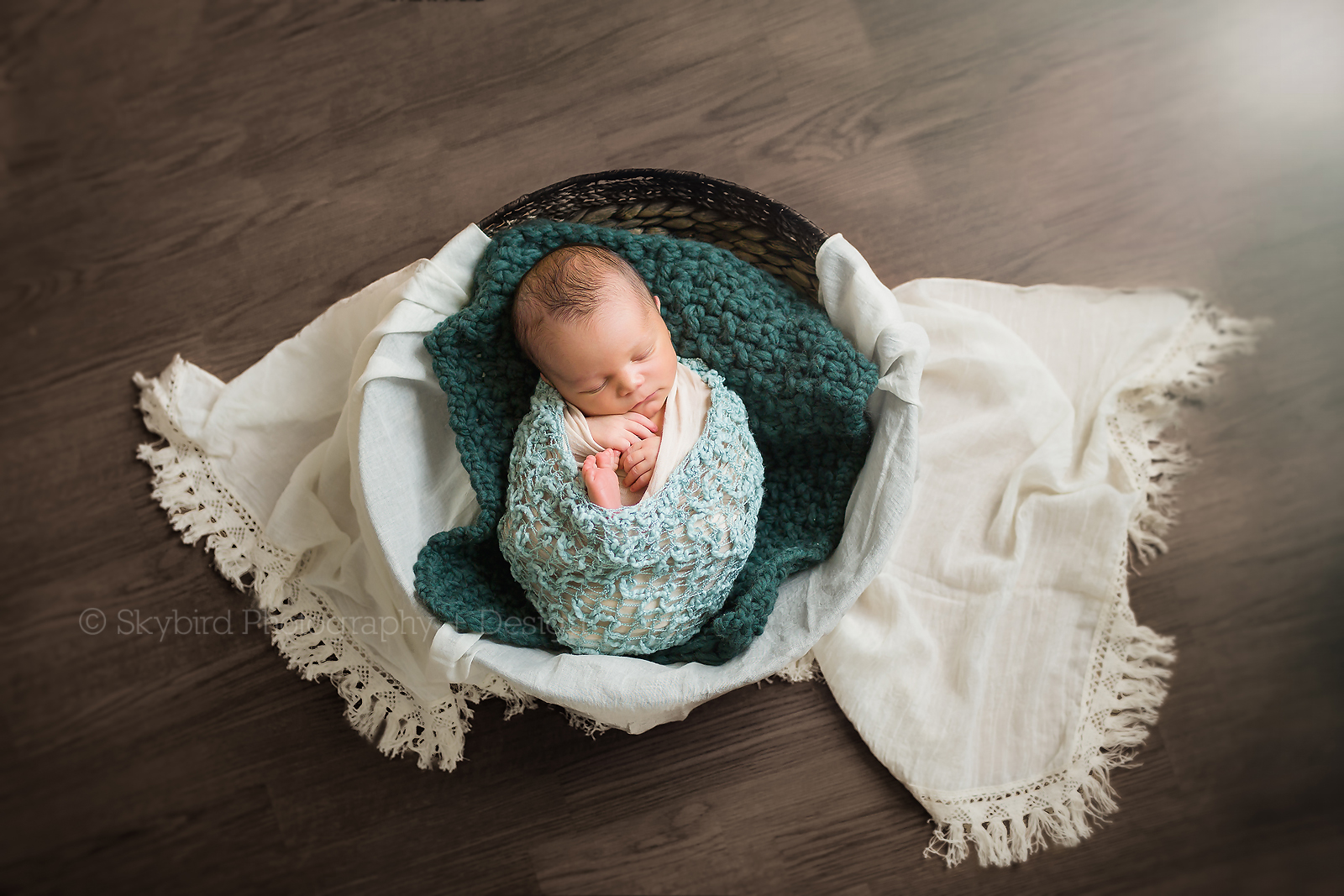 Charlottesville Studio Newborn Photography