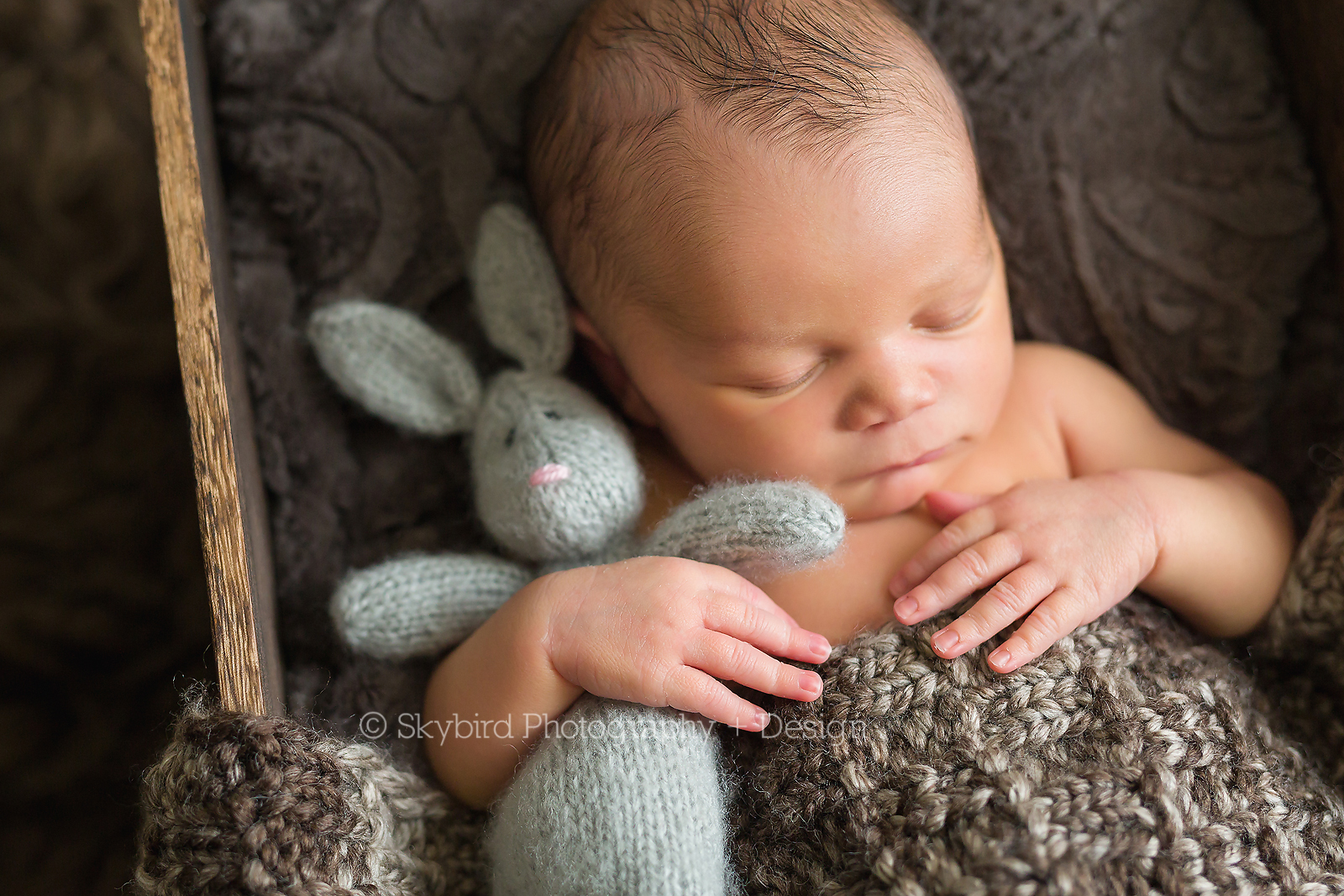 Charlottesville Studio Newborn Photography