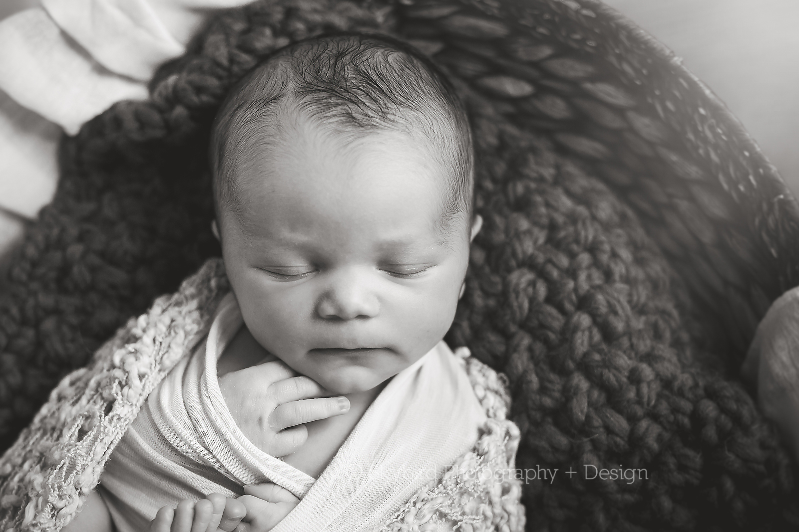 Charlottesville Studio Newborn Photography