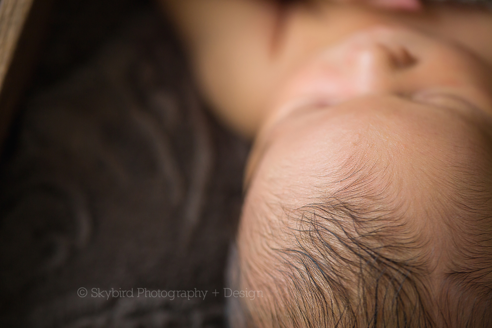 Charlottesville Studio Newborn Photography