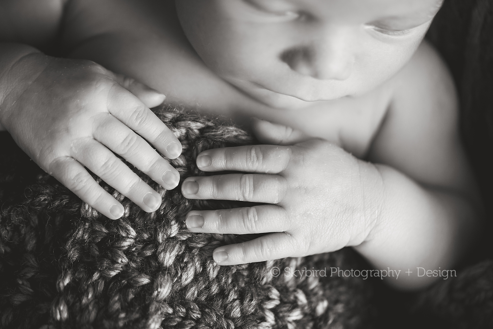 Charlottesville Studio Newborn Photography