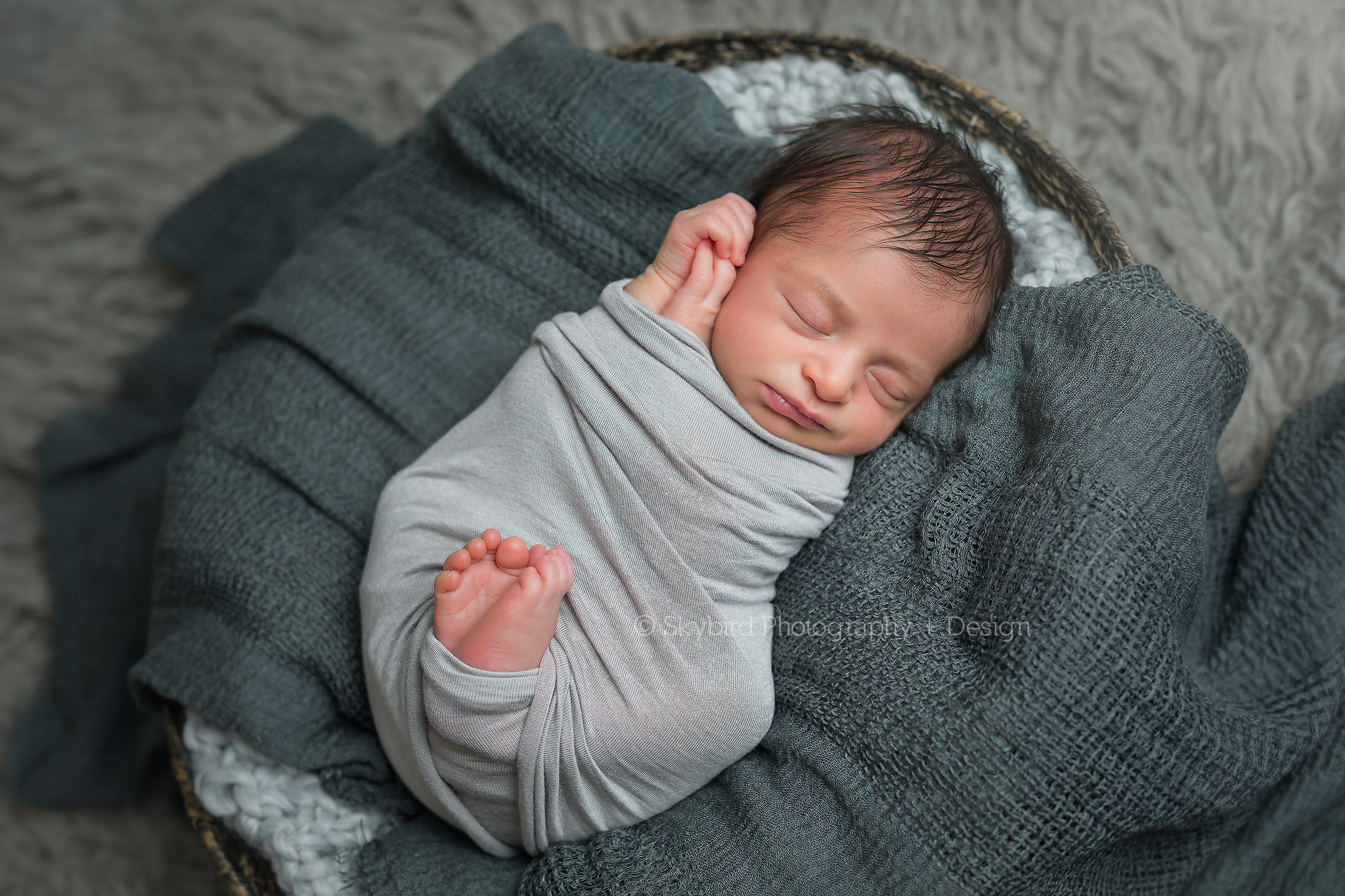 Charlottesville Newborn Boy