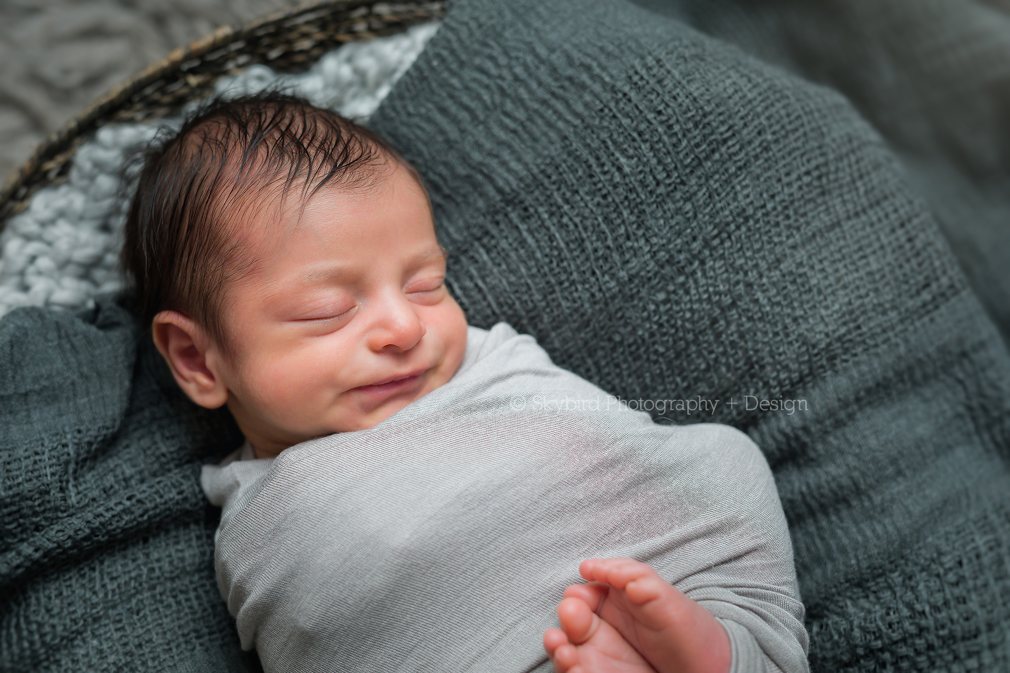 Charlottesville Newborn Boy