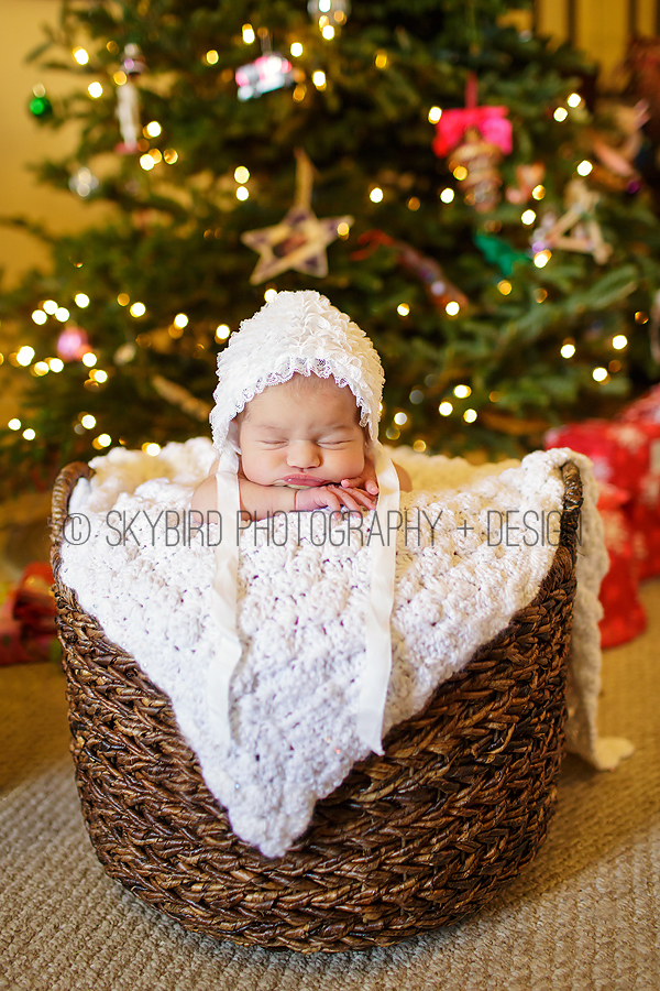 Santa’s Little Helper | Crozet, Virginia Newborn Photographer