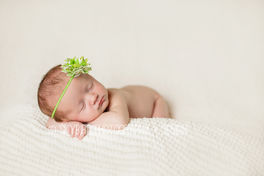 Spring Time Newborn | Fluvanna Photographer