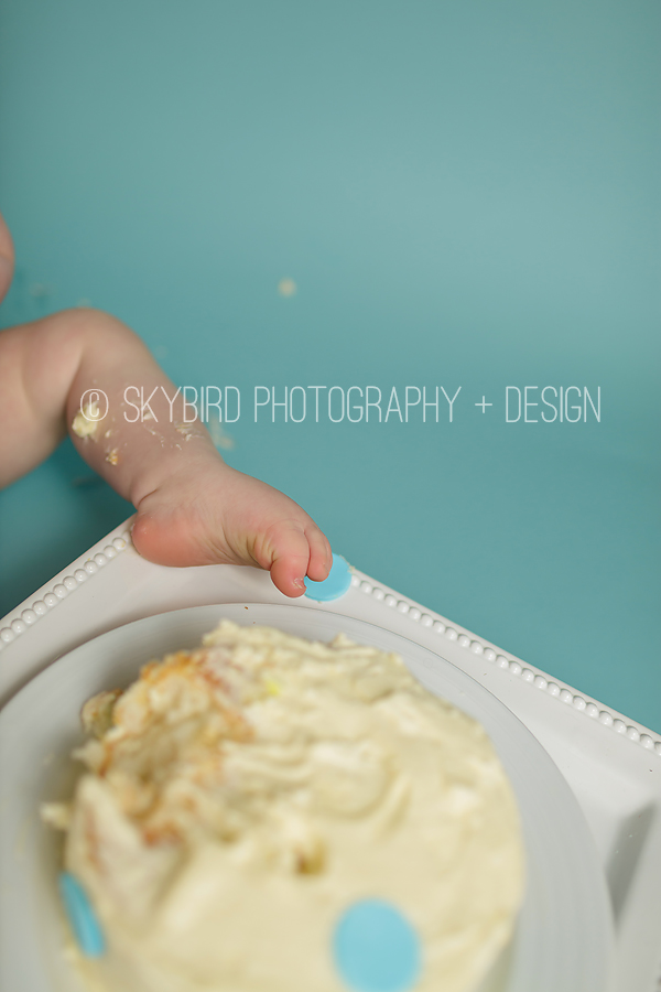 Cake Smash Success | Charlottesville, Virginia Baby Photographer