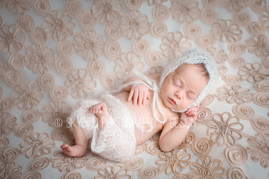 richmond newborn photographer