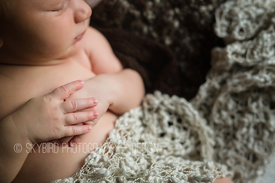 21 Days New | Crozet Newborn Photography