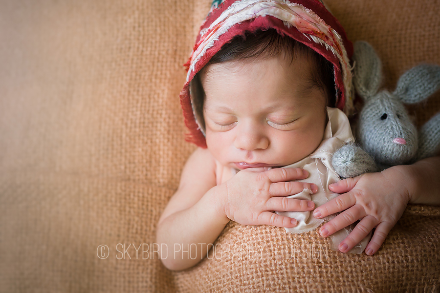 Sweet Newborn Girl | Charlottesville Newborn Photography