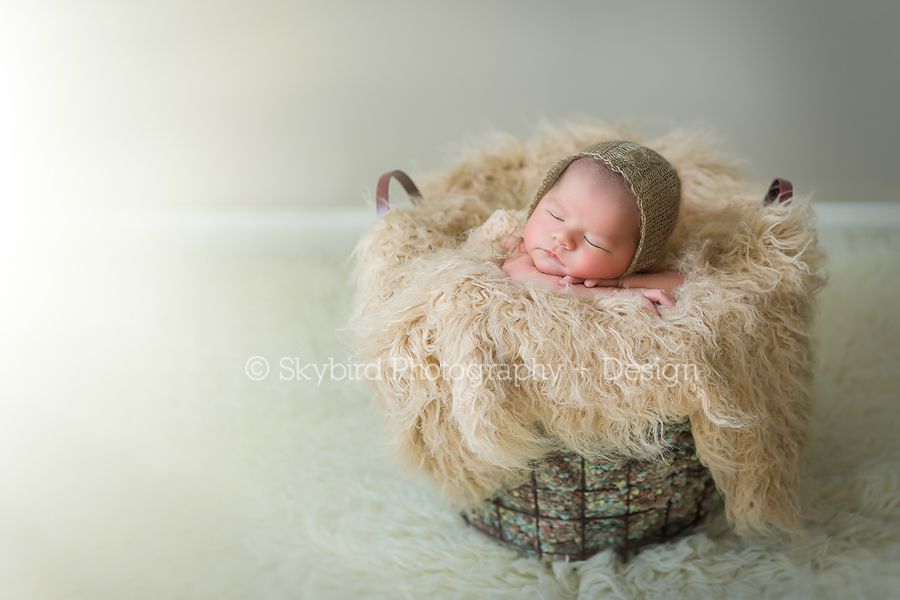 Joseph | Our first in-home studio newborn shoot!