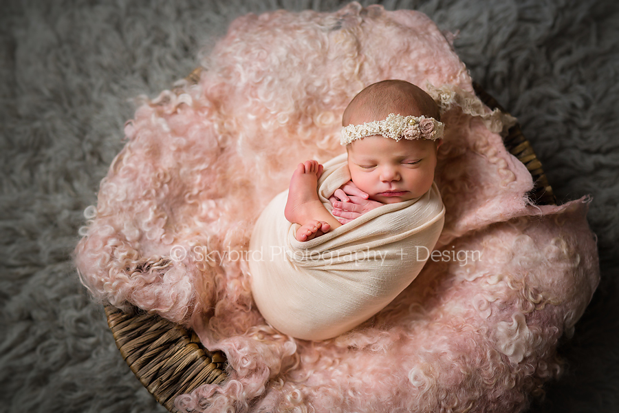 Sweet Avery | Newborn Charlottesville VA